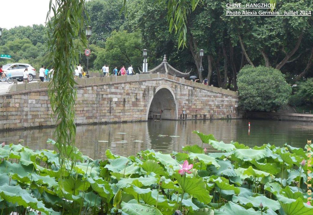 Alexia-Hangzhou 041.JPG